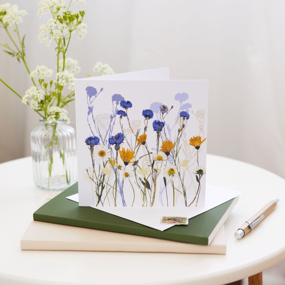 Cornflower and daisies greetings card