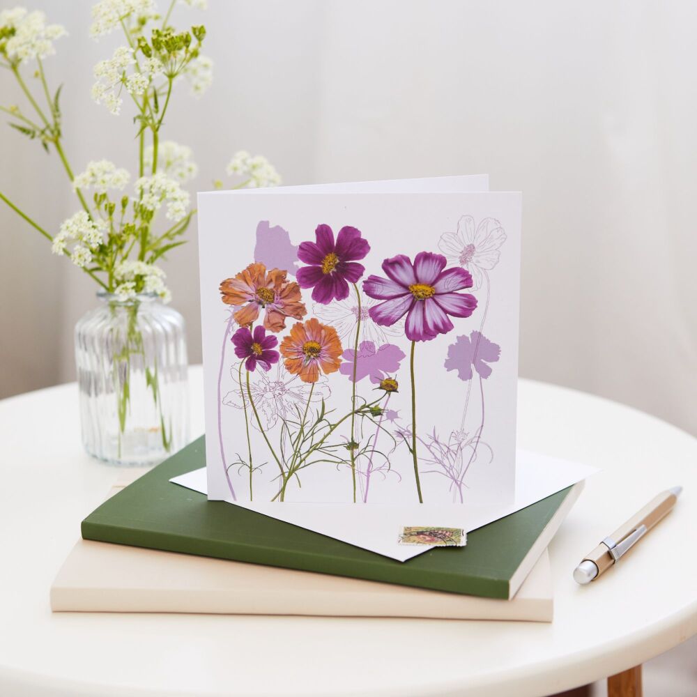 Cosmos floral greeting card