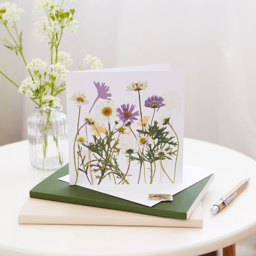 Daisies greetings card