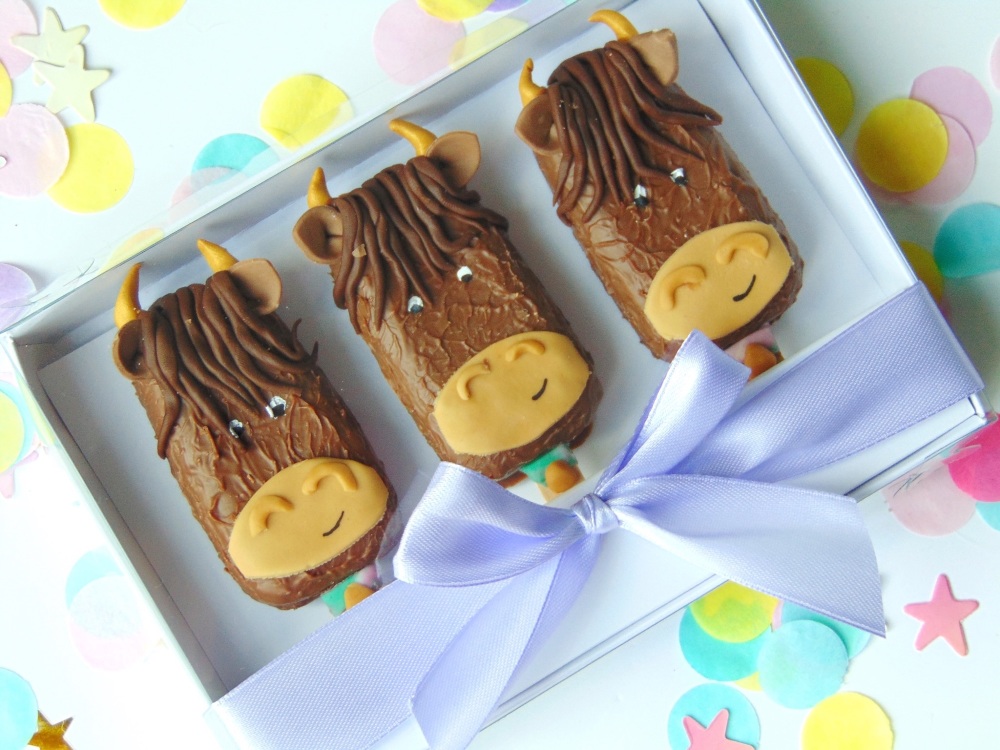 Highland cow popsicles set
