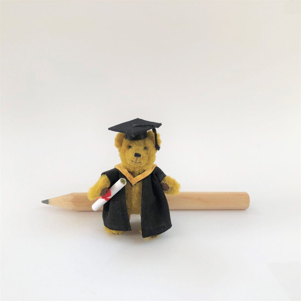 Teddy Graduate 2