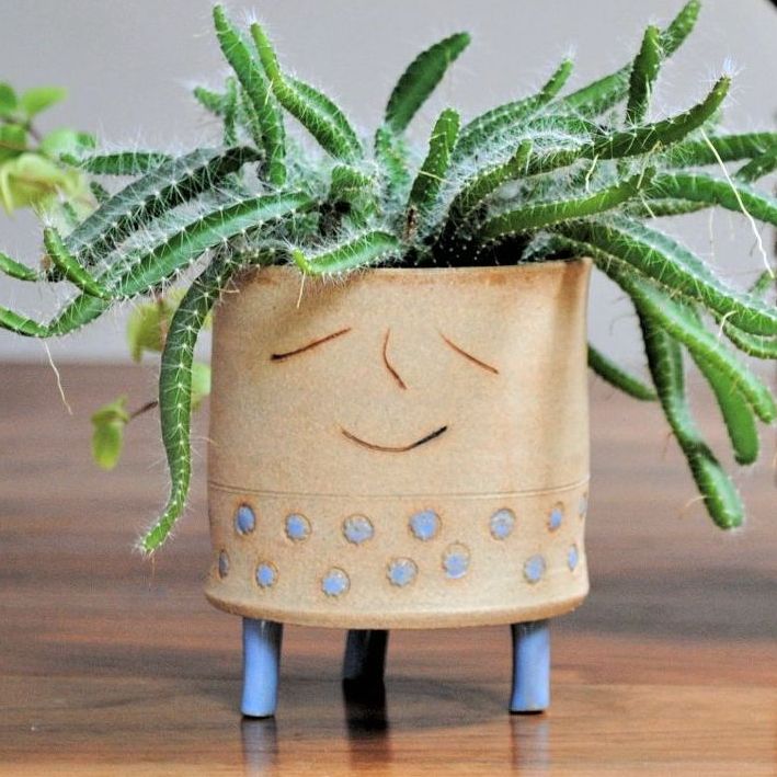 Handmade ceramic plant pot with legs and blue flower print.