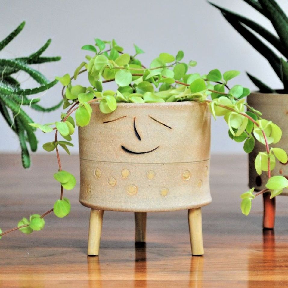 Ceramic plant pot with yellow flower details.