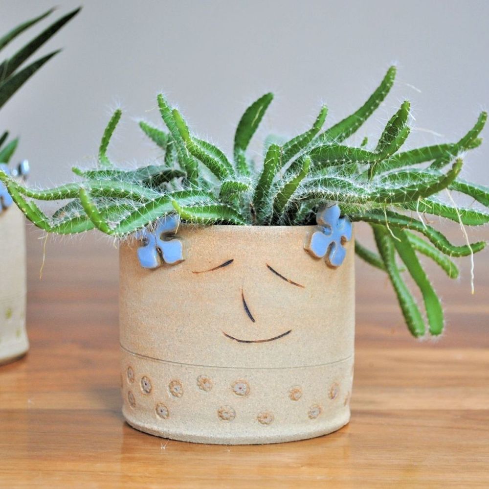 Ceramic decorative planter - medium . . . . . . SALE . . . . .  SALE . . . . . from £23 . . . .