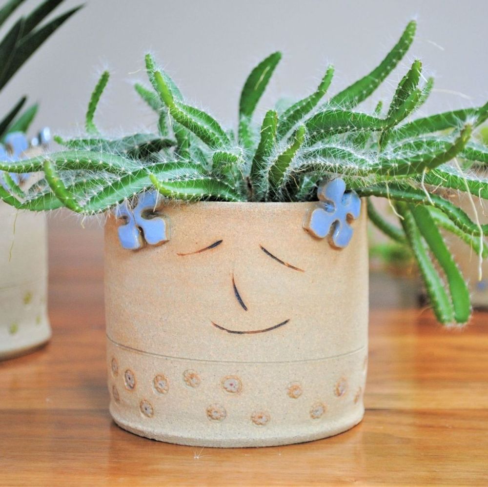 Ceramic plant pot with Hydrangea design.