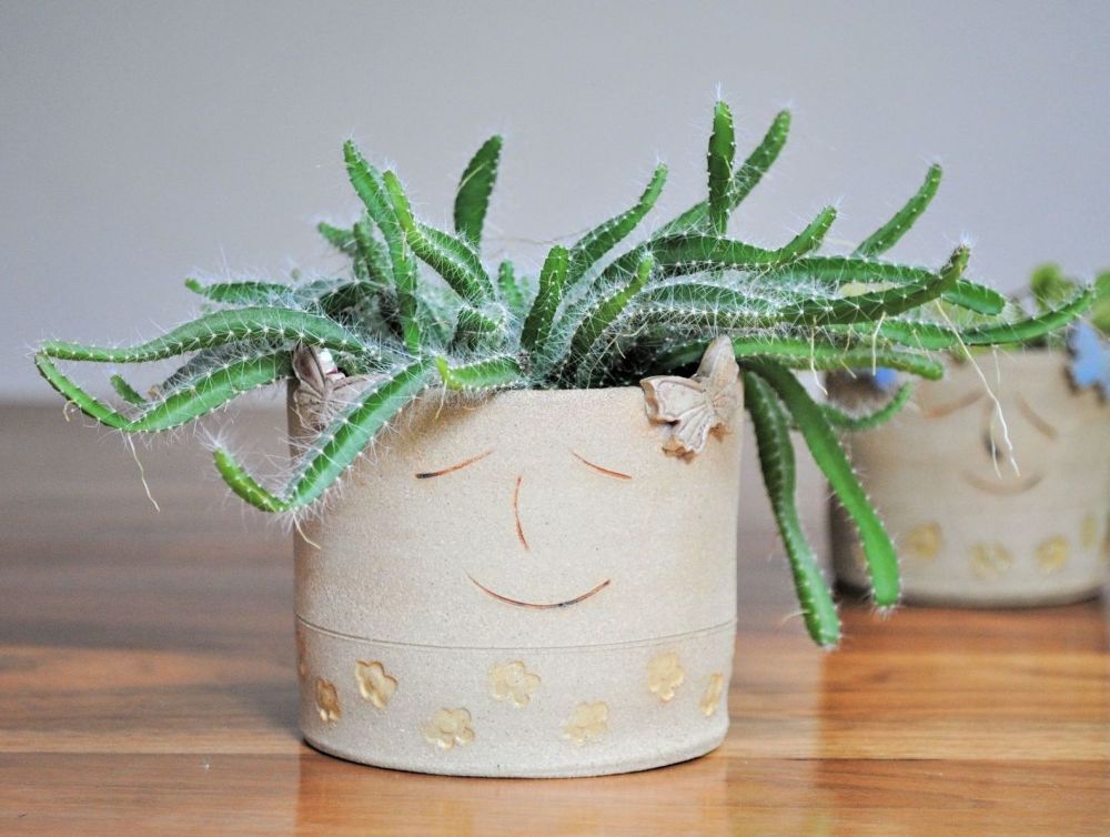 Handmade plant pot with smiley face.