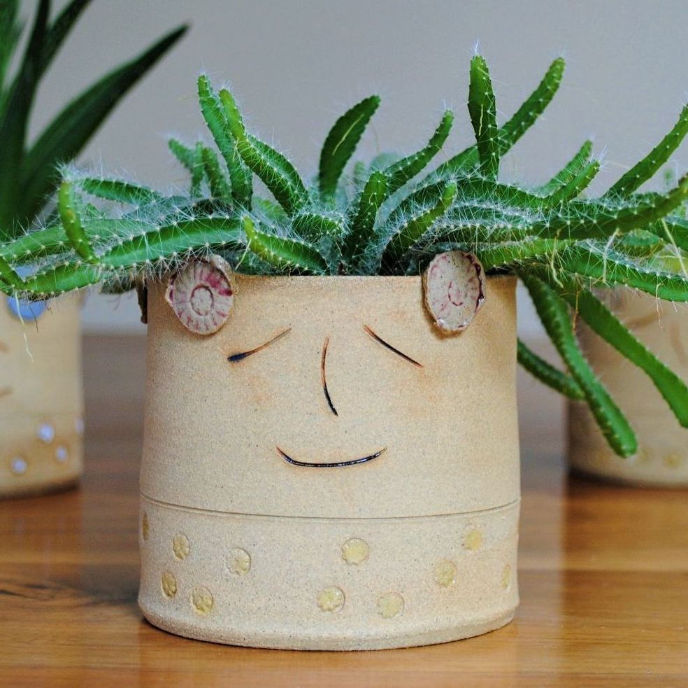 Smiley face planter with flower design.