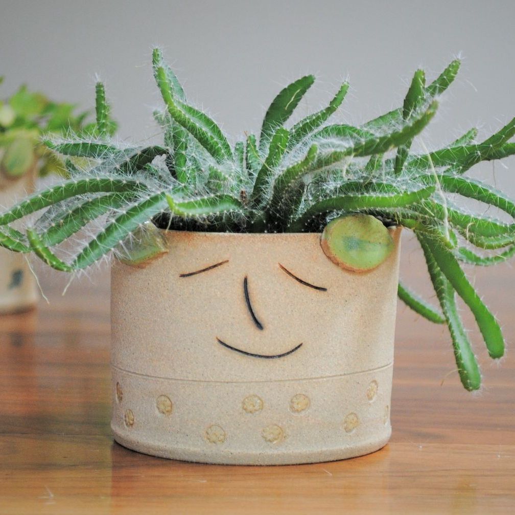 Handmade ceramic planter with leaves.