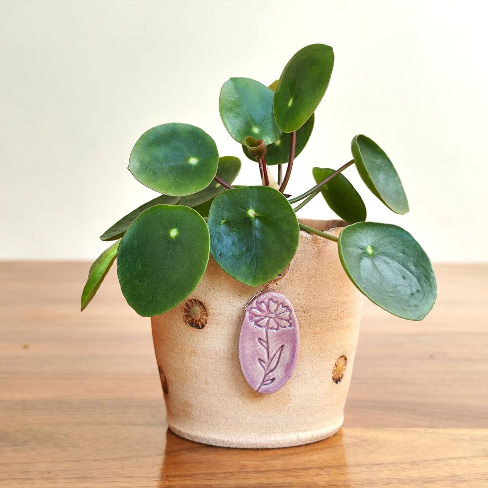 Birth Flower Pottery Plant Pot
