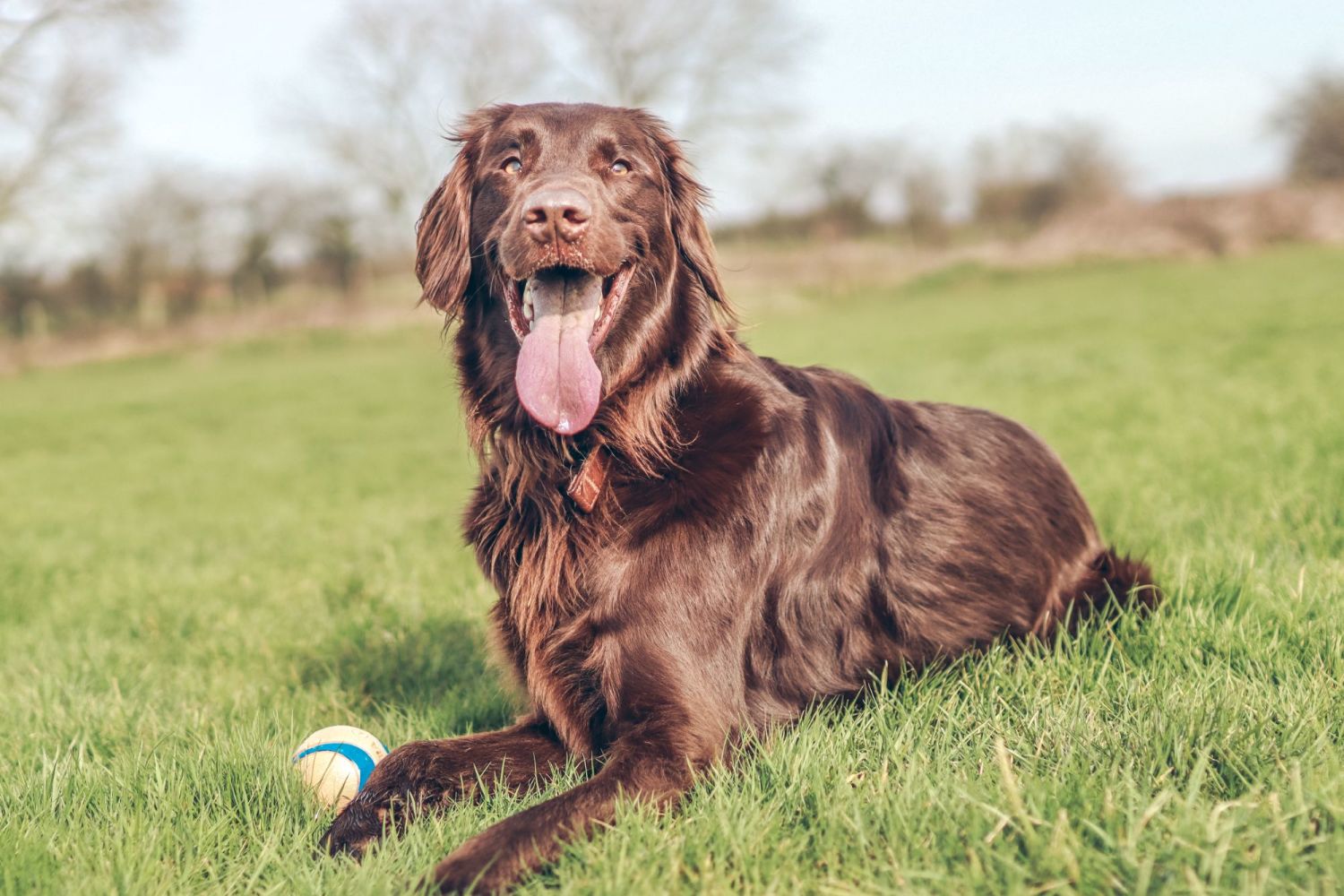 Junior/Adult Training