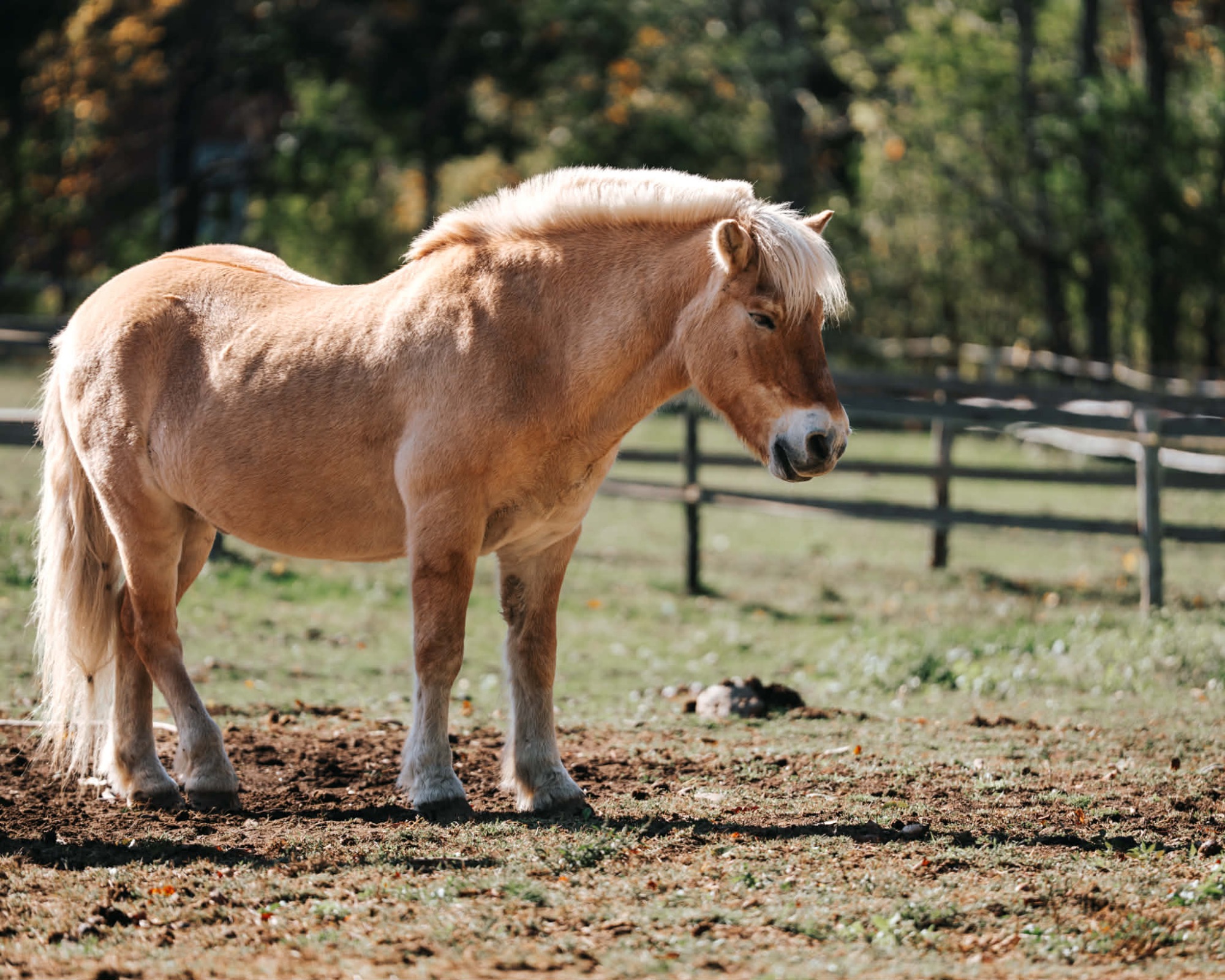 att.LSyVcRVPnWN3IOCQpa_xP3lWeRR2f_npNUXbkWBXsV8