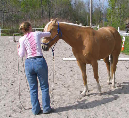 Ida and nancy working may 08