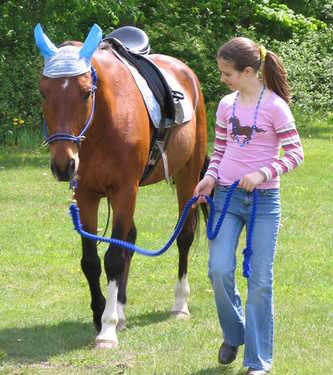 Dobbin Addie mem beach 08