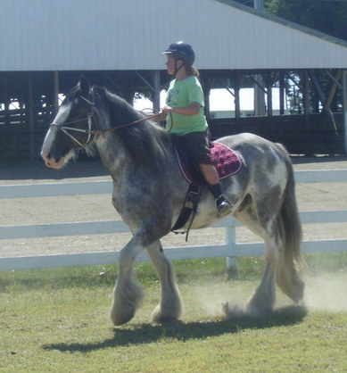 Tavish Kerstin 4H Camp