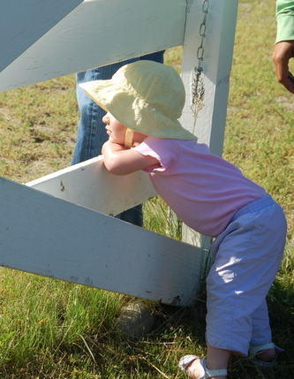 Amelia watching Fence