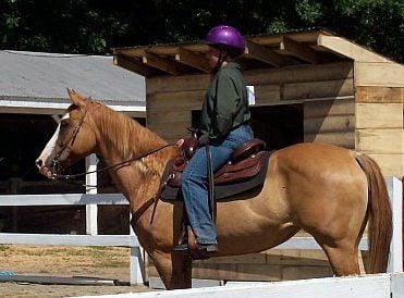 Soleil Kerstin Mon horse show july 08