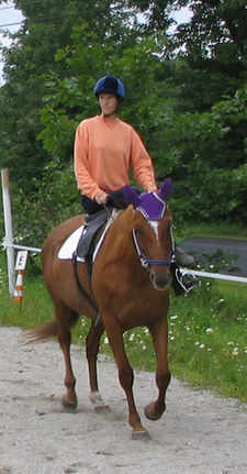 Sue Sidesaddle 2 Aug 08