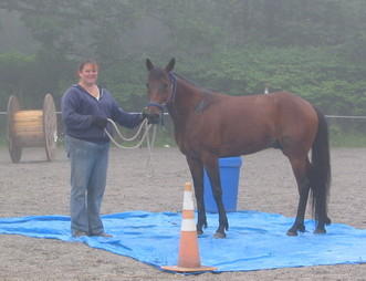 Sugar and Kat tarp day 1 7 18 09