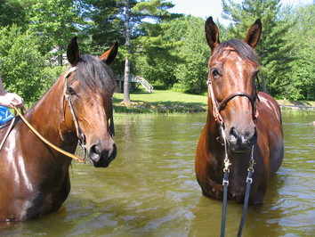 Cash and Suz in wilson pond