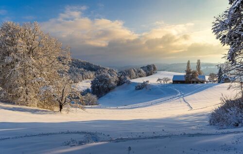 winter crystal white scene