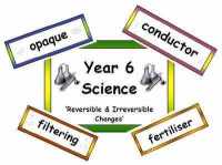 Year 6 Primary Science Vocabulary (Old Curriculum)
