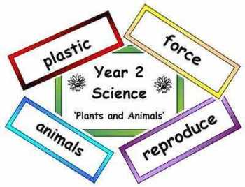 Year 2 Primary Science Vocabulary (Old Curriculum)