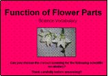 Function of a Flower Quiz and Assessment PowerPoint