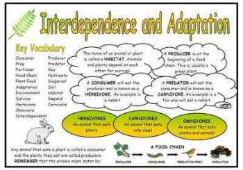 Interdependence and Adaptation Science Fact Mat