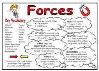 Forces Science Fact Mat and Display
