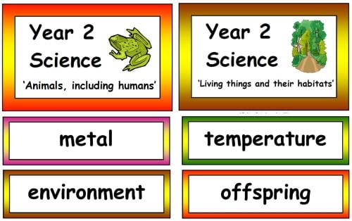 Year 2 Science Vocabulary Cards