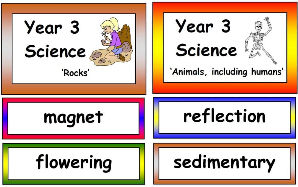 Year 3 Science Vocabulary Cards