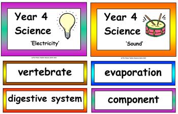 Year 4 Science Vocabulary Cards