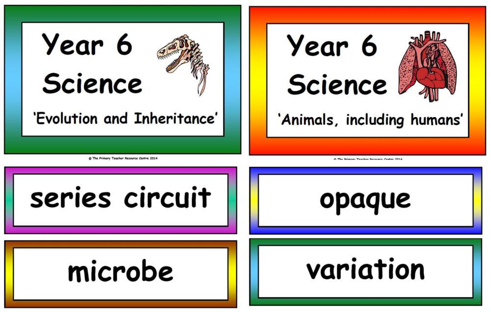 Year 6 Science Vocabulary Cards