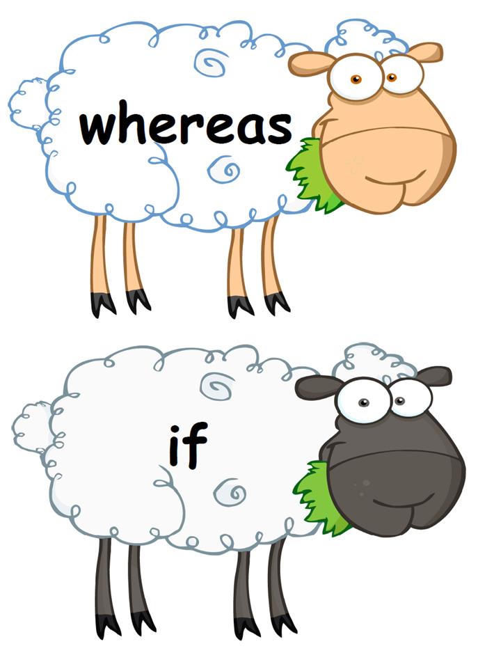 Connectives Display Posters - Sheep
