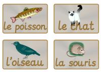 French Animal Vocabulary Cards