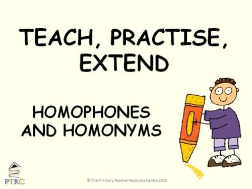 Homophone and Homonym Powerpoint - Teach, Practise, Extend