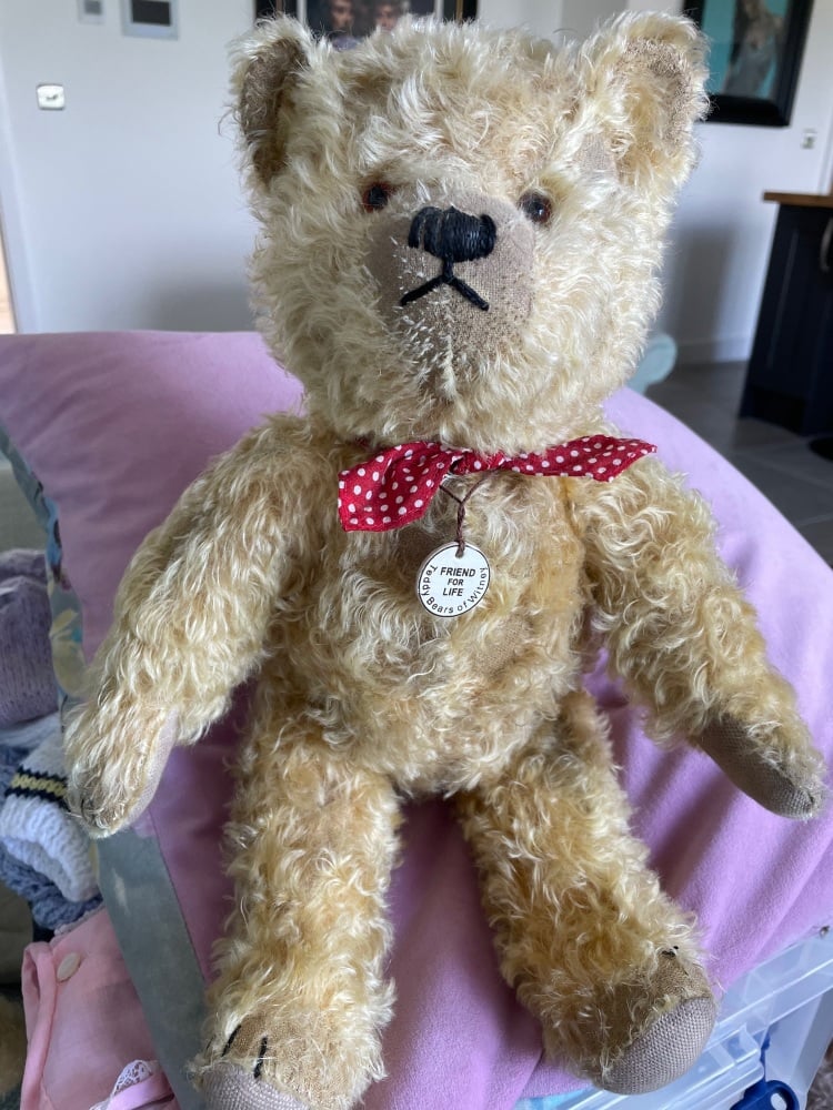 Teddy bears of Witney Friend for Life --16in. (41cm) high