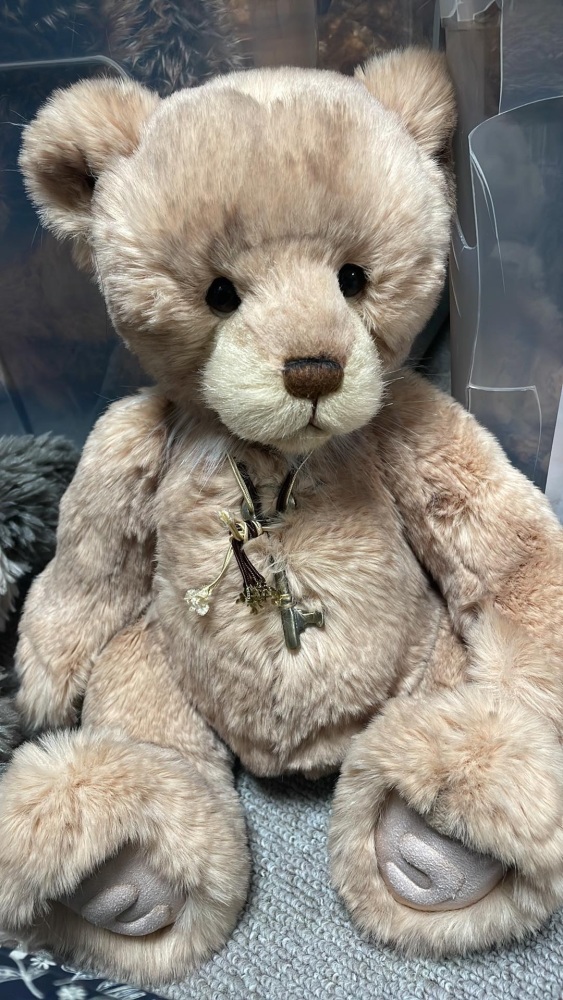 Tagless bear