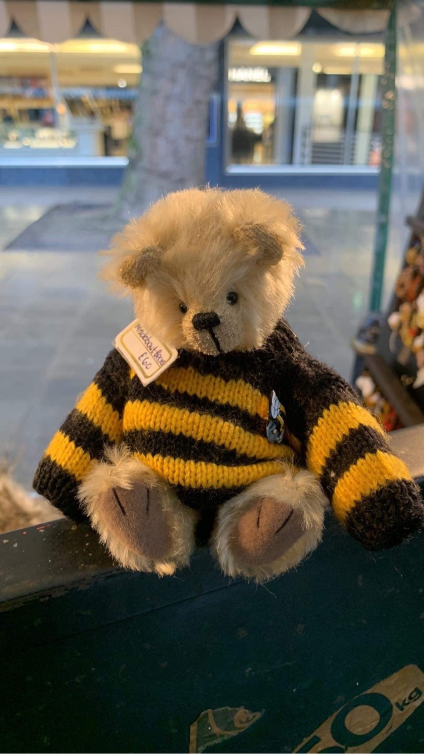 Mad about bears RESERVED