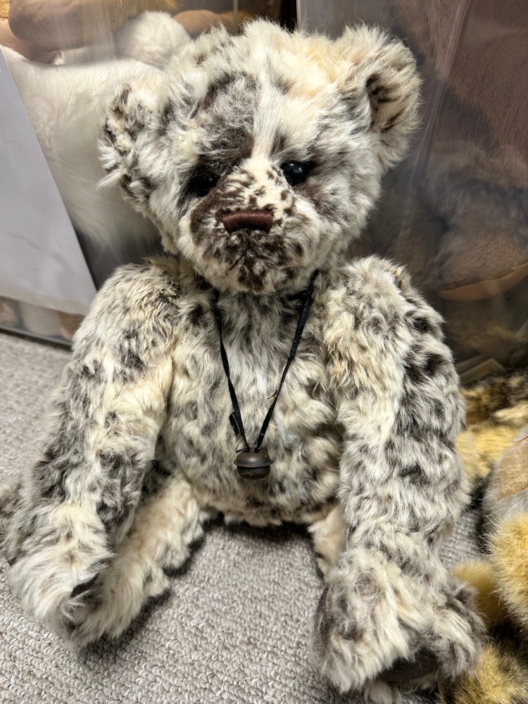 Timmy missing tag