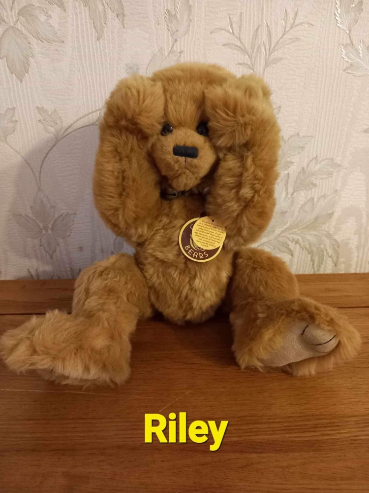 Riley