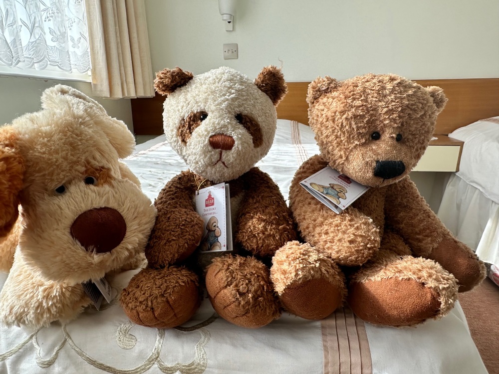 Ting The Bear By Alice Bear Shop