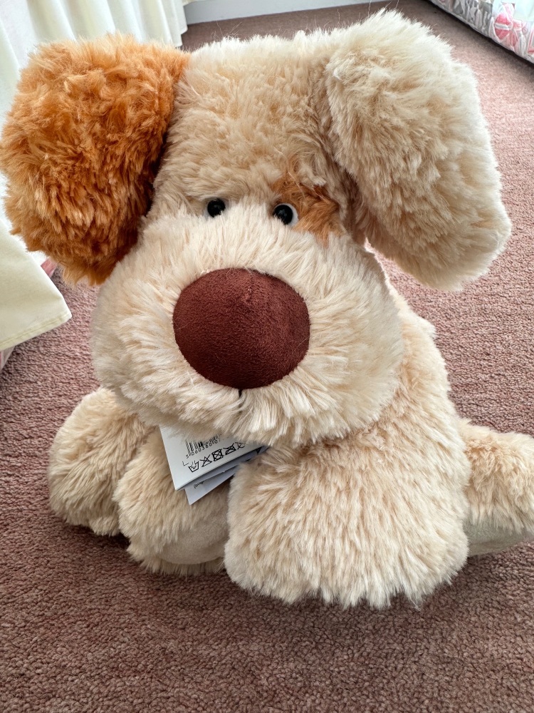 Alice's Bear Shop - Chunky (Bear) by Charlie Bears