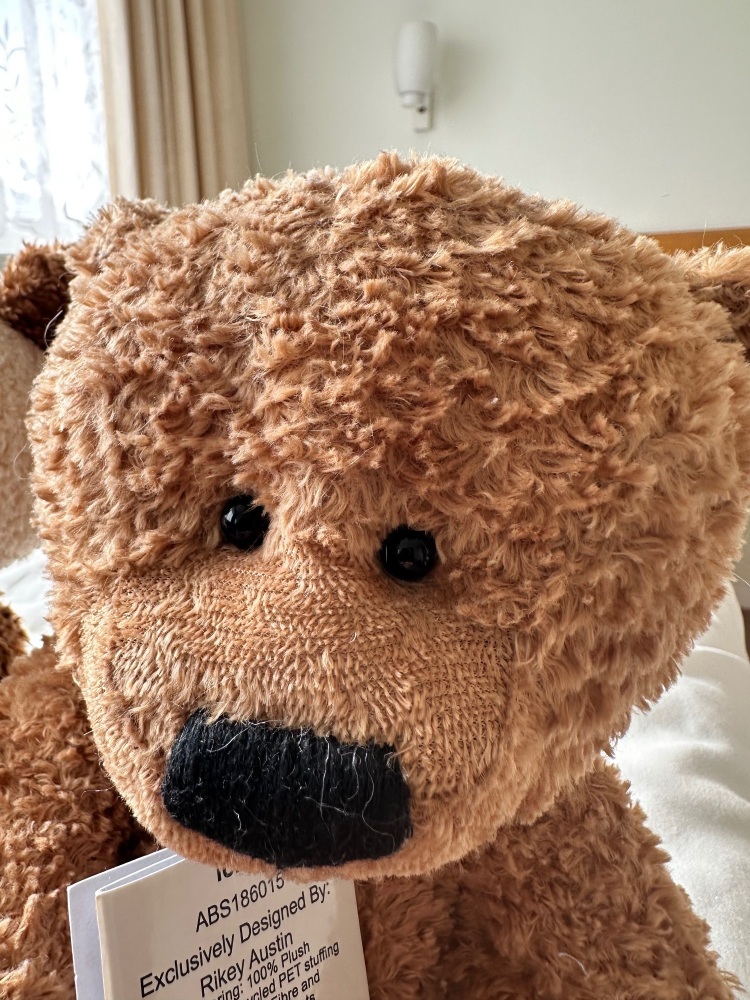 Alice's Bear Shop - Icky (Bear) by Charlie Bears - BNWT