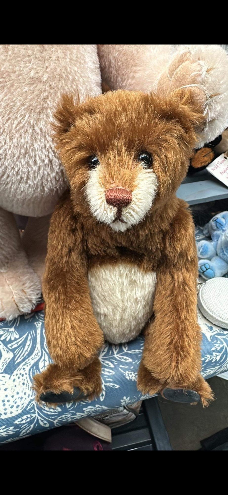 Bear bits (reserved)