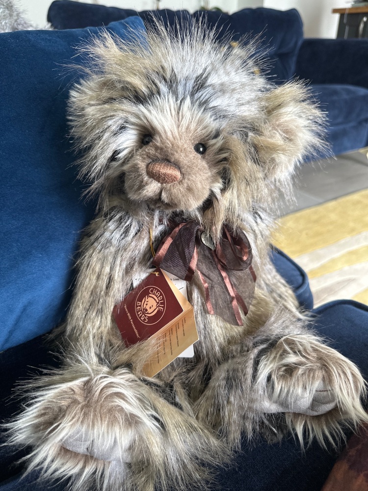 Charlie year bear 2015