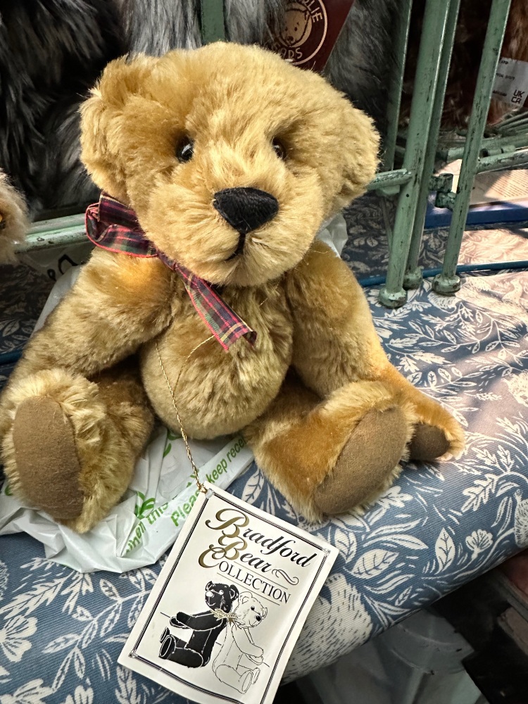 Mc B by Bradford Bears