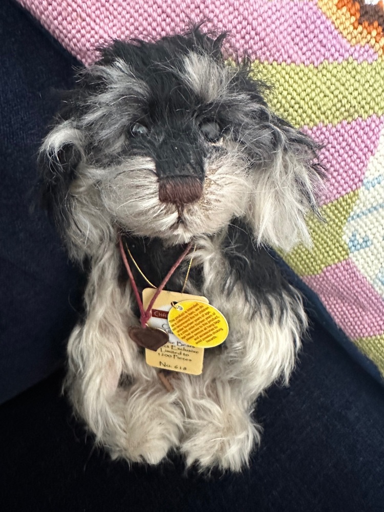 Captain Puddle Maker (sun damage to tag)