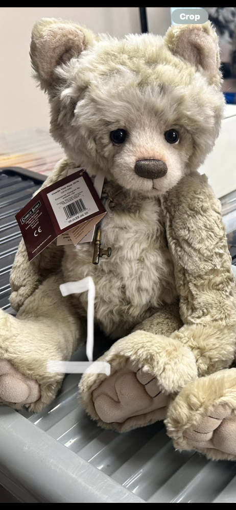 Charlie year bear 2016 (No.1)