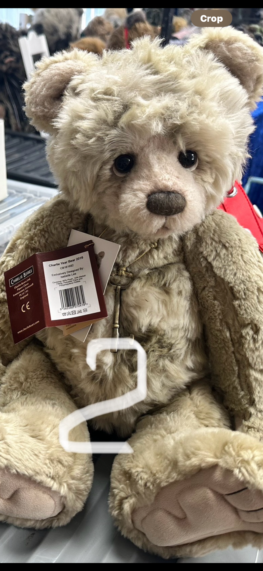 Charlie year bear 2016